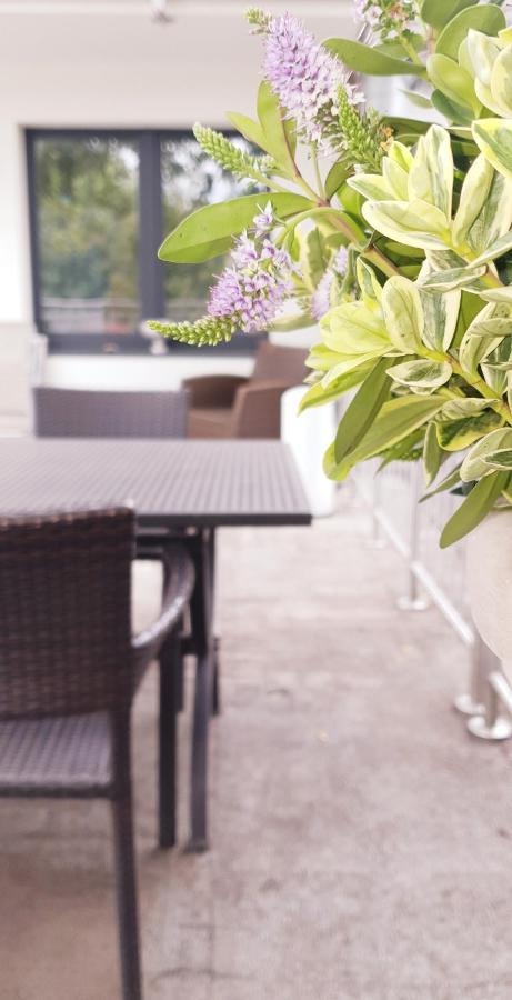 Moderne Zweizimmerwohnung Essen Ngoại thất bức ảnh